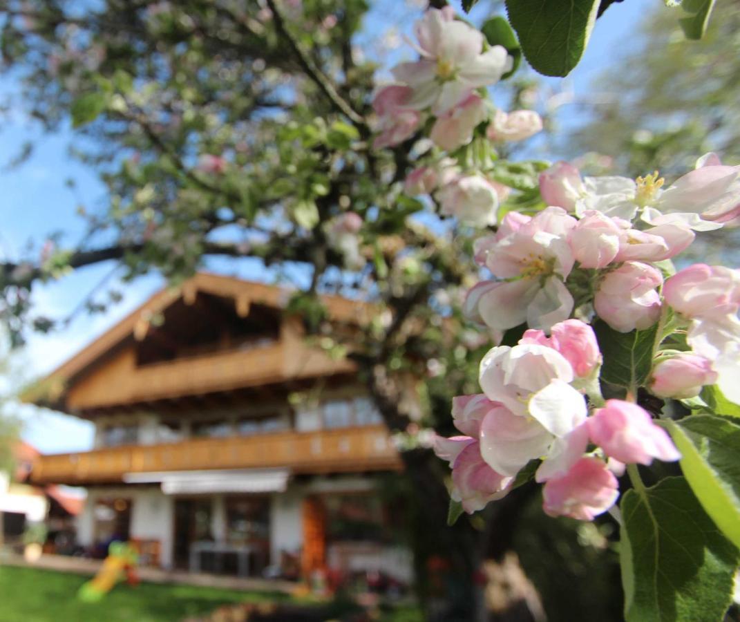 Appartementhaus Schirsner - Direkt Am See & Am Kurpark Шлирзе Экстерьер фото